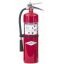 Extintor-Purple-K-10-lbs-Amerex-min.jpg